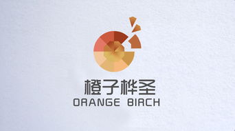 橙子網(wǎng)絡(luò)科技 信息技術(shù)驅(qū)動的創(chuàng)新先鋒